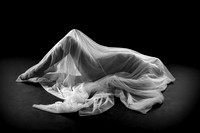 _dsc6936_copia_2