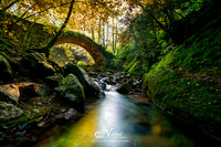 Puente sobre el Rio Llobregat