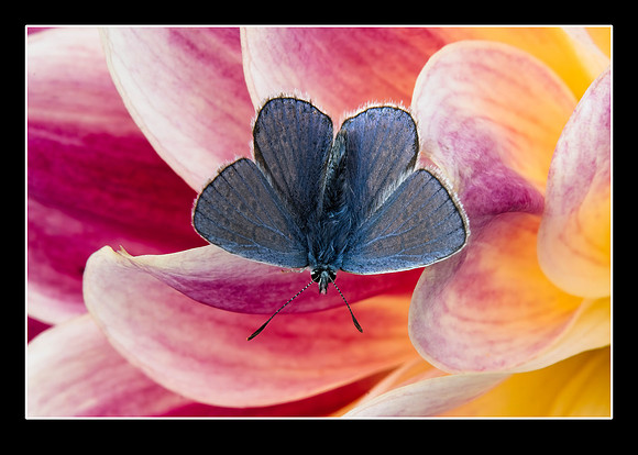 _DSC3906-Resize