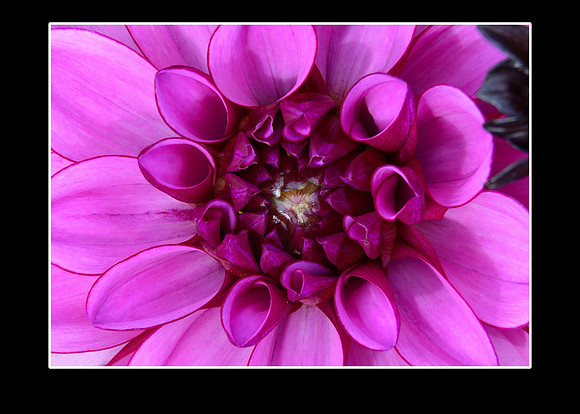 _DSC3924-Resize
