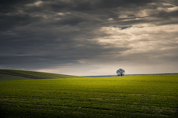 Paisaje de Lerida