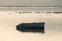 Barca de pescadores al anochecer