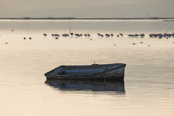 Barca de pescadores al anochecer