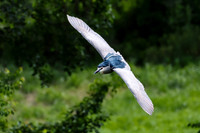 08052026-_DSC1473-Editar