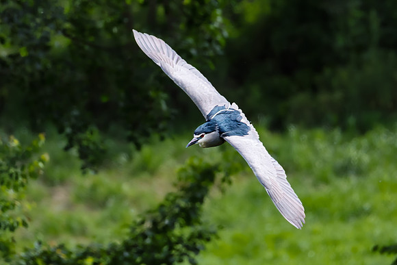 08052026-_DSC1473-Editar