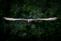 09052026-_DSC1704-Editar