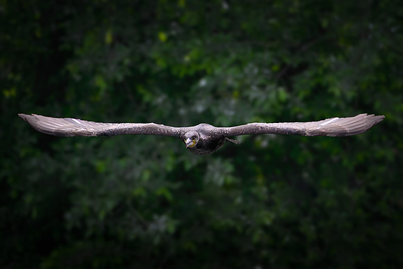 09052026-_DSC1704-Editar