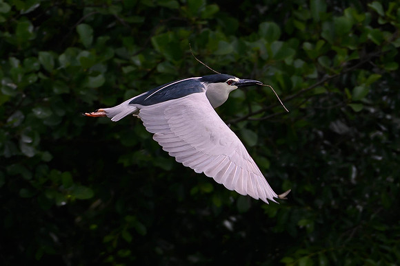 _DSC1576-Editar