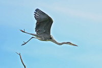 _DSC1506 Smart Photo