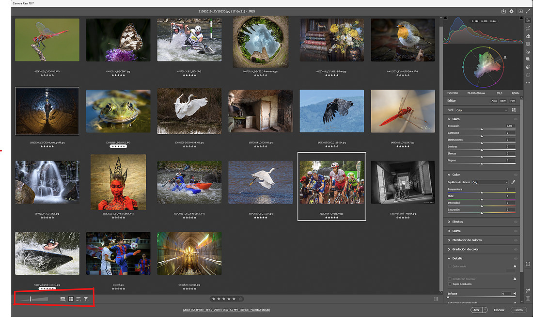 Camera RAW 18-7.jpg