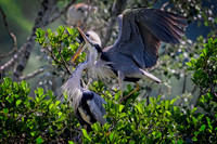 _DSC2355 Smart Photo